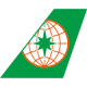 airline